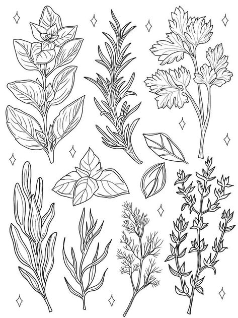 Spices Illustration, Herb Tattoo, Flash Tattoo Designs, Tattoo Portfolio, Tattoo Flash Art, Arte Inspo, Herbs And Spices, Nature Tattoos, Flash Art