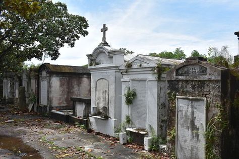 New Orleans Cemeteries, New Orleans Garden District, Lafayette Cemetery, New Orleans Travel Guide, New Orleans Vacation, New Orleans Museums, Visit New Orleans, New Orleans French Quarter, New Orleans Travel