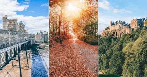 15 Best Day Trips from Edinburgh by Train - Volumes & Voyages Day Trips From Edinburgh, Day Trips, Edinburgh, Good Day, Scotland, Train, The Incredibles, Day Trip