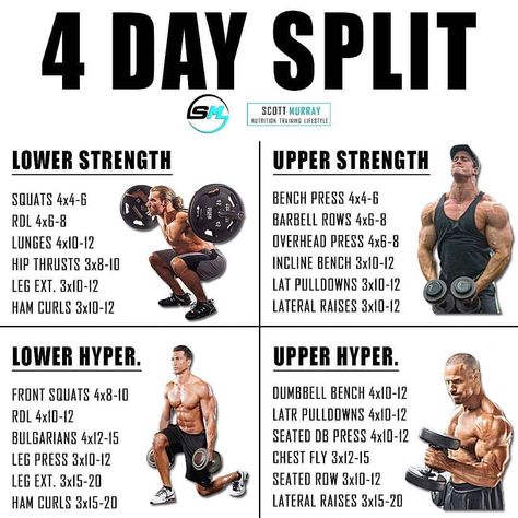 REPOST by @tomthetrainerfitness . What split do you follow? ➖ An Upper/Lower 4dy split is a great split for both beginners AND advanced as… 4 Day Split Workout, Split Workout Routine, 4 Day Workout, Split Workout, Push Pull Workout, Lower Workout, Powerlifting Gym, Workout Splits, Bodybuilding Workout Plan