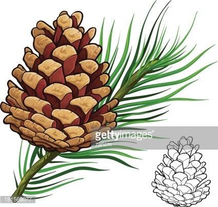 Pine Cone Drawing, Cone Drawing, Simple Line Drawing, Pine Cone Art, Simple Line Drawings, Art Carte, Pine Cone Crafts, Christmas Paintings, Pine Cone