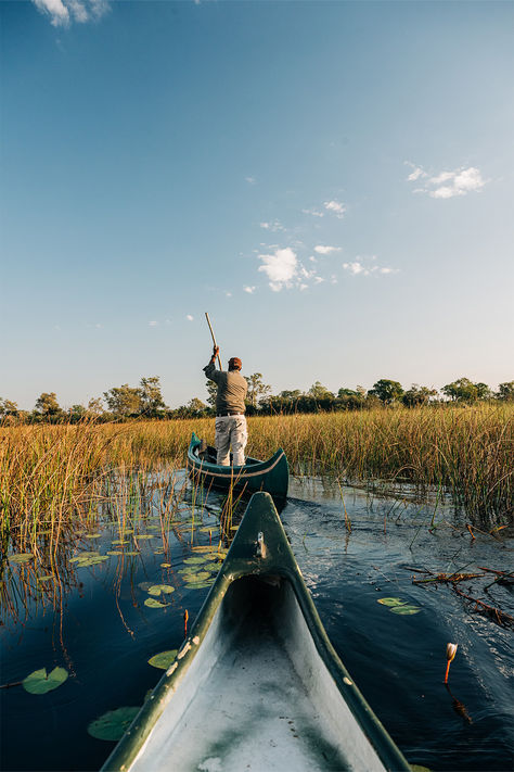 Explore the waterways of Okavango Explorers Camp to see hippos, crocodiles, and plenty of waterbirds. Plus with more than 9,000 elephants living along the river system, there’s also a high chance you’ll glimpse a gentle giant. For more experiences in Botswana, head to the link below. River System, Elephant Camp, Crocodiles, Gentle Giant, Vacation Packages, Botswana, International Travel, The River, Flight