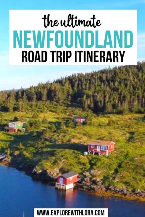 The Ultimate Newfoundland Road Trip Itinerary Newfoundland Road Trip, Newfoundland Tourism, Eastern Canada Travel, Newfoundland Canada, Newfoundland Travel, Road Trip Packing, Canada Travel Guide, East Coast Road Trip, Canadian Travel