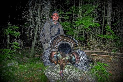 Afternoon turkey hunting tactics and strategy need to be applied in order to bag more turkeys after lunch. Afternoon turkey hunting tactics that work! Turkey Now, Types Of Hunting, Foto Transfer, Best Turkey, Hunting Life, Turkey Hunting, Wild Turkey, Bow Hunting, Western Movies