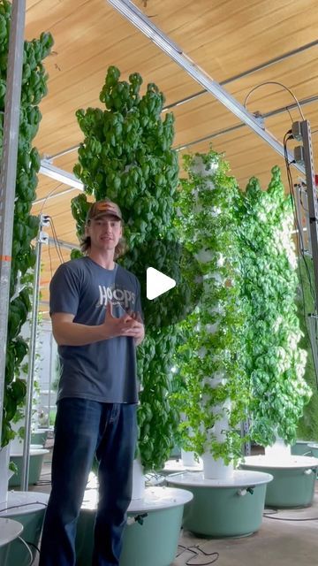 Agrotonomy on Instagram: "Aqua Garden is an indoor vertical farm located in Wisconsin, USA and features several hundred aeroponic towers that are integrated into an aquaponic system, where walleye fish play a vital role in providing nourishment to the crops. @aquagardenllc  #aquaponics #aeroponics #verticalfarming #agriculture #farming #soilless #aquaculture #hydroponics" Fish Garden Aquaponics System, Aquaponic System, Walleye Fish, Aqua Garden, Aqua Farm, Vertical Farm, Indoor Farming, Fish Garden, Aqua Culture