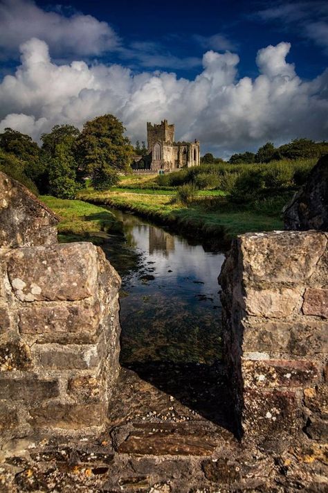 ☘️RT’S Magical 🧙‍♀️ Ireland 🇮🇪 | Wexford | Facebook Tintern Abbey, Wexford Ireland, Beautiful Ruins, Magic Land, Scottish Castles, Visit Ireland, England And Scotland, Beautiful Castles, Scotland Travel