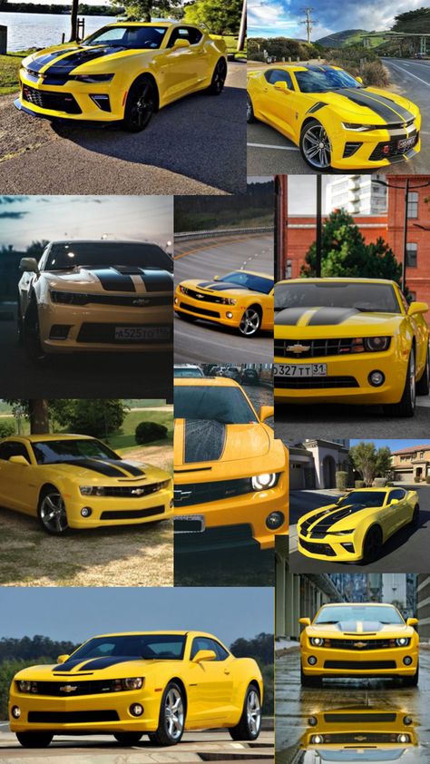 Bumblebee Camaro collage, #car #cars #yellow #pretty #dream Illegal Racing Aesthetic, Chevrolet Camaro Yellow, Bumblebee Camaro, Chevrolet Camaro Bumblebee, Yellow Camaro, Transformers Cars, Car Memes, Camaro Zl1, Mustang Cars