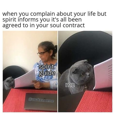 144 Likes, 13 Comments - awake-a-meme (@awakeameme) on Instagram: “Me: s'pose there's no point in me complaining about anything right now huh⠀ ±⠀ Higher me: None…” Funny Spiritual Memes, Funny Spiritual, Soul Contract, Angel Guide, Serious Quotes, Spirit Guide, Spiritual Messages, Spiritual Guides, Spirit Guides