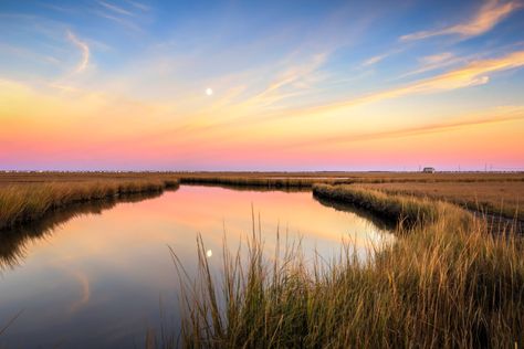 Sunset photograph of a reflective moonrise calmly rising over the Cedar Run Dock Road marsh amid pastel clouds. Pastel Landscape Photography, Muted Landscape Photography, Marsh Landscape Photography, Marsh Scenes Paintings, Marshland Paintings, Marsh Sunset Photography, Watercolor Clouds, Pastel Clouds, Beach Art Painting