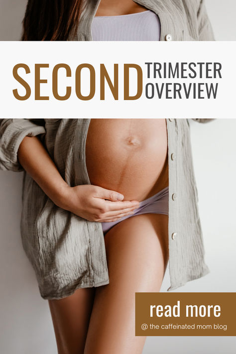 Learn what to expect in your second trimester! #secondtrimester #pregnancy #firsttimemom #momlife #pregnant #pregnancytipsandtricks #newbaby #baby Baby Preparation Checklist, Second Trimester Pregnancy, Getting Ready For Baby, Honeymoon Phase, Parenting Done Right, Second Trimester, Trimesters Of Pregnancy, Preparing For Baby, Parenting Fail