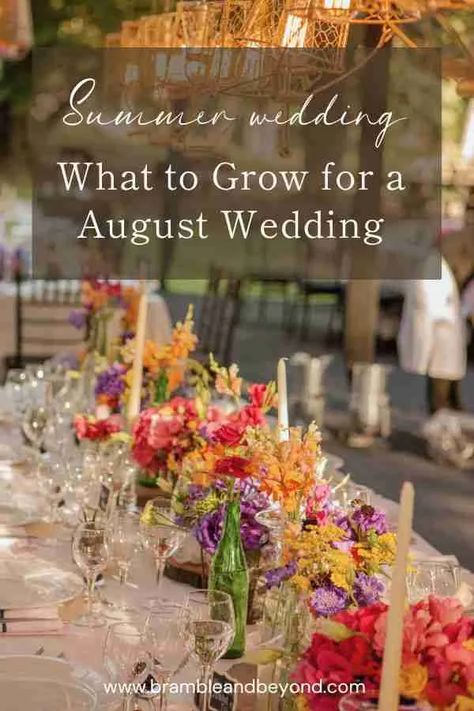 Late Summer Flower Wedding: Flowers to Grow for an August Wedding 1 Summer Flower Wedding, August Wedding Flowers, Wedding August, August Flowers, Late Summer Flowers, Flowers To Grow, Wedding Flower Guide, Sustainable Flowers, Late Summer Weddings