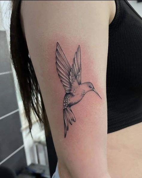 Jamaican Tattoos, Cardinal Bird Tattoos, Cardinal Tattoos, Bird Tattoos, Dad Tattoos, Hummingbird Tattoo, Bird Tattoo, Humming Bird, Cardinal Birds