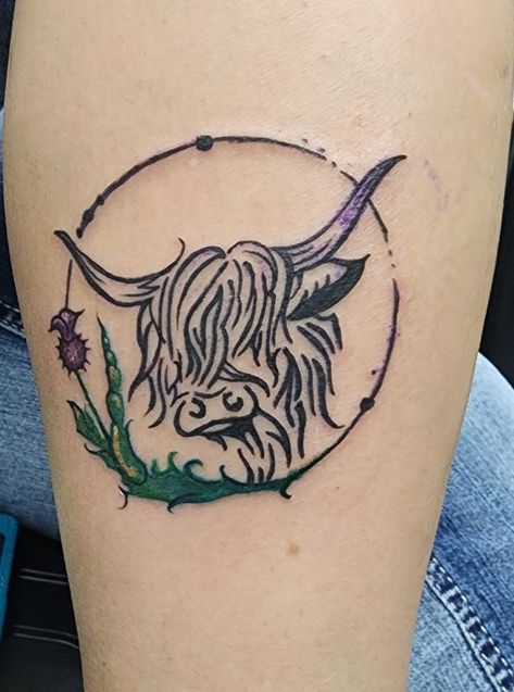 Cattle Tattoos For Women, Simple Highland Cow Tattoo, Small Highland Cow Tattoo, Highland Cow Tattoos For Women, Highland Cow Tattoo Ideas, Scottish Tattoos For Women Scotland, Scottish Highland Cow Tattoo, Highlander Cow Tattoo, Highland Cow Tattoo Simple