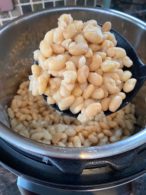 Instant Pot Great Northern Beans – Melanie Cooks Instant Pot Great Northern Beans, Southern Pinto Beans Recipe, Make Refried Beans, Instant Pot Freezer, Pinto Bean Recipes, Refried Beans Recipe, Cooking Dried Beans, Good Carbs, Northern Beans