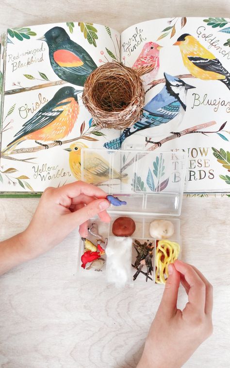 A Nest Is Noisy Activities, Playful Pioneers, Bird Study, Playdough Kit, Homeschool Nature Study, Unit Studies Homeschool, Nest Building, Nature School, Playdough Kits