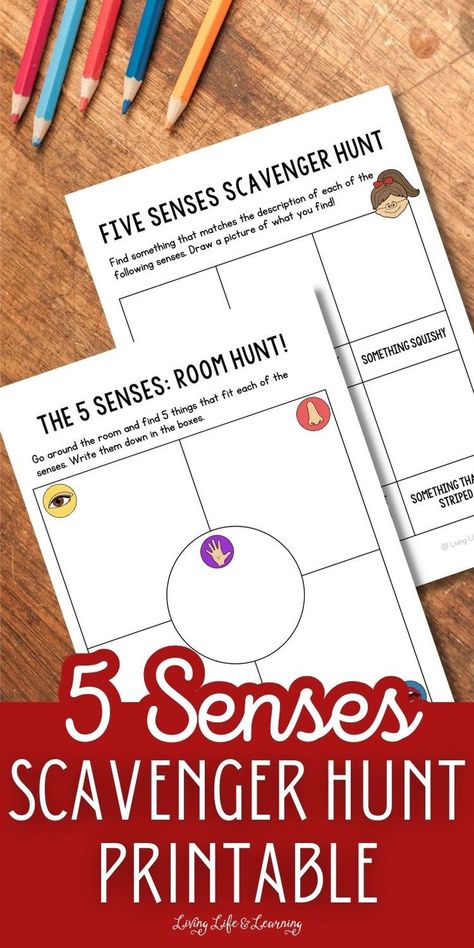 5 Senses Scavenger Hunt Printable 5 Senses Scavenger Hunt, Apologia Anatomy, 5 Senses Worksheet, 5 Senses Activities, Scavenger Hunt Printable, Senses Activities, Creative Thinking Skills, 5 Senses, Exploring The World