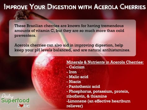 Acerola a little berry from the tropics that carries a lot of punch! Acerola Cherry Benefits, Chia Seed Benefits, Seed Benefits, Health Benefits Of Cherries, Food Remedies, Natural Antihistamine, Daily Supplements, Gmo Corn, Chia Seeds Benefits