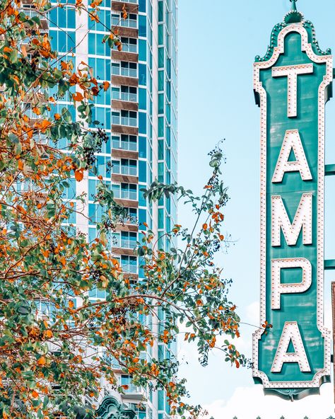 51 Most Instagrammable Places in Tampa: Best Photo Spots in Tampa Tampa Bay Aesthetic, Cute Florida Pictures, Tampa Photography Locations, Tampa Florida Aesthetic, Tampa Aesthetic, Florida Quotes, Florida Photos, Tampa Riverwalk, Carribean Cruise