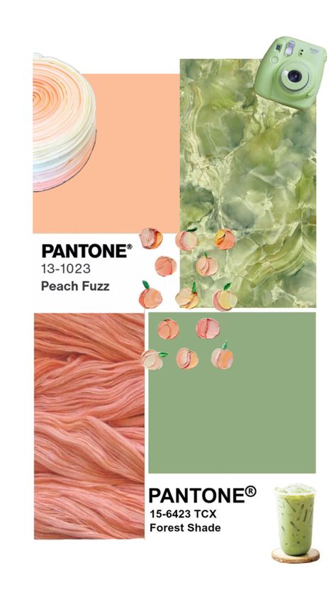 Mint Green Complimentary Colors, Pistachio Color Palette, Peach Colour Combinations, Edinburgh Flat, Bedroom Board, Pistachio Color, Peach Aesthetic, Branding Inspo, Peach And Green