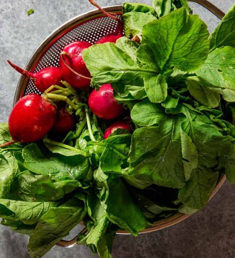 Radish Leaves: How to Eat and Cook with Them — Zestful Kitchen Radish Leaves Recipe, Radish Greens, Ways To Eat Healthy, Roasted Radishes, Green Pesto, Dump Meals, Radishes, Leafy Greens, Creamy Soup