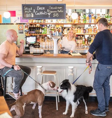 The Best Dog-friendly Restaurants and Pubs in Sydney The Grounds Of Alexandria, Victorian Buildings, Vet Med, Black Bull, Spiced Rum, Roasts, House Made, Four Legged, Dog Friendly