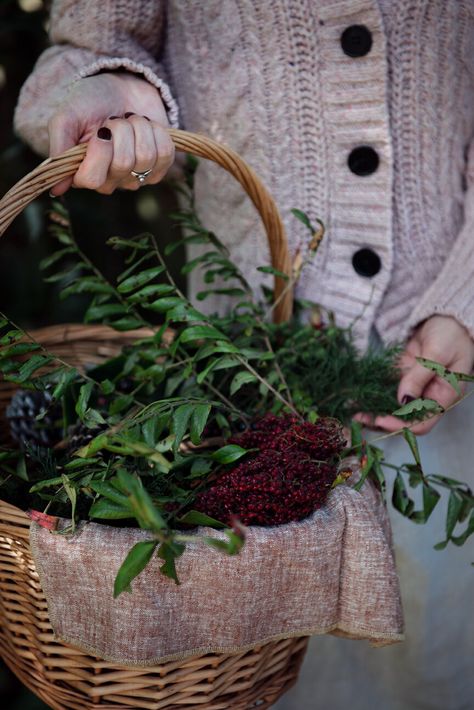 The Art of Visual Storytelling — Paprika Southern Winter Food Photography, Morning Winter, Photography Food Styling, Holiday Morning, Storytelling Photography, Winter Morning, Farmhouse Garden, Photography Food, Prop Styling