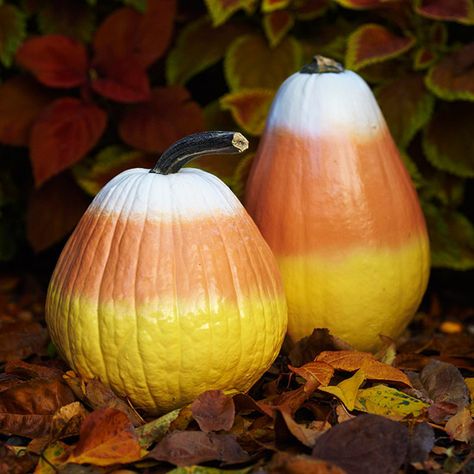 Candy Corn Pumpkins  Place these colorful no-carve pumpkin decorations around your yard for a fun display this season. Choose cone-shape pumpkins and clean their surfaces. Spray-paint the bottoms and tops of the pumpkins, gradually getting lighter toward the middle to achieve the candy-corn effect.  Editors Tip: Cover stems with painter's tape to keep clean. Candy Corn Decorations, No Carve Pumpkin Decorating, Halloween Decor Diy, Pumpkin Candy Corn, Hallowen Ideas, Labu Halloween, Diy Halloween Decor, Adornos Halloween, Pumpkin Candy