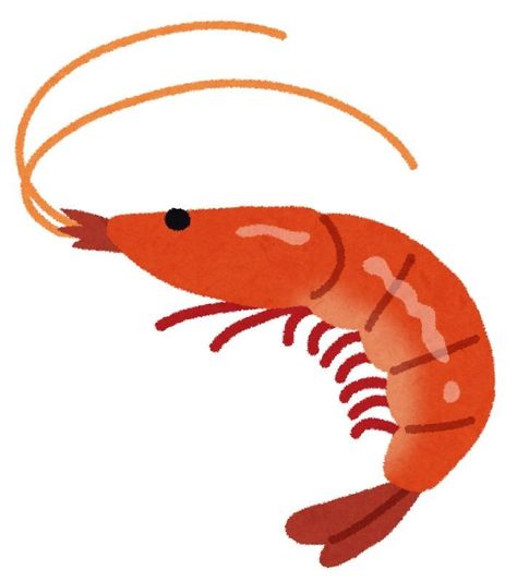 Shrimp Cartoon, Cute Doodles Drawings, Animal Posters, Nature Illustration, Marker Art, Logo Concept, Twisted Wonderland, Art Model, Funky Art