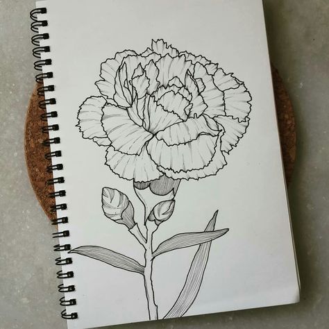 Delicate carnation details done with 003 micron pen .. see my all illustrations on Radhika Hobbycrafts instagram account Carnation Drawing Simple, Carnation Sketch, Carnation Flower Drawing, Carnation Illustration, Carnation Drawing, Carnation Flower Tattoo, Carnation Tattoo, Cross Drawing, Mixing Paint Colors