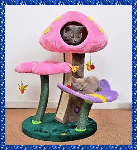 Cute Cat Trees, Cat Playroom, Organization Room, Unique Cat Trees, Chat Diy, Cat Climbing Tree, Cat Tree House, Cat Climbing Frame, Cut Cat