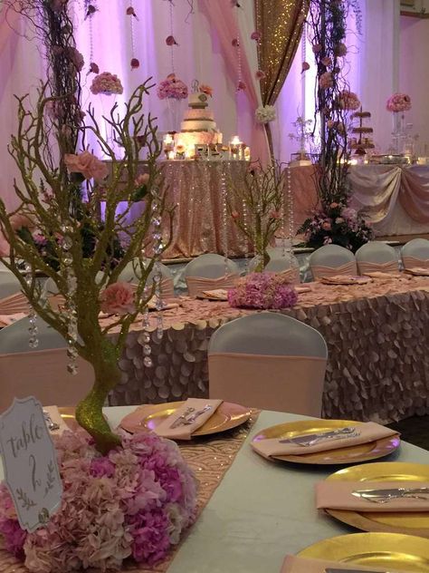 In the Night Garden Quinceañera Party Ideas | Photo 5 of 18 | Catch My Party Garden Quinceanera Theme, Sleeping Beauty Theme, Garden Quinceanera, Quinceñera Ideas, Quinceañera Party Ideas, Quinceanera Theme, In The Night Garden, The Night Garden, Quinceanera Planning