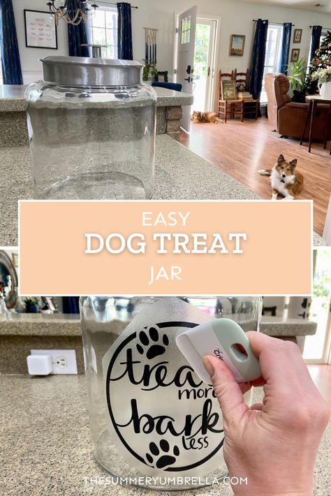 Dog Treat Jar Svg, Pet Treat Jars, Treat Jars For Dogs, Dog Treat Jars Vinyl, Dog Treat Jar Ideas, Dog Treat Jar Diy, Dog Treat Container, Adventure Signs, Easy Dog Treats