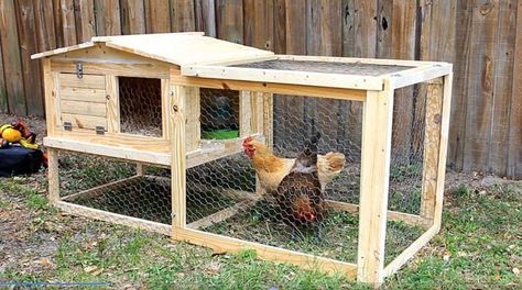 34 Chicken Coop Plans You Can Build by Yourself (100% Free) Small Chicken Coop, Reban Ayam, Easy Diy Chicken Coop, Chicken Coop Plans Free, Small Chicken Coops, Easy Chicken Coop, Chicken Barn, Backyard Chicken Coop Plans, Diy Chicken Coop Plans