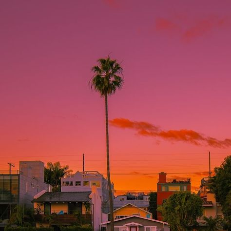 Ian Tampus | Los Angeles CA on Instagram: "LA's color palette 🌅  #california #californication #losangeles #losangelesphotographer #aesthetic #complex #westcoast #losangelescalifornia #visualgrams #aestheticedits #potd" La Colors, Los Angeles California, Colour Palette, West Coast, Color Palette, Angeles, California, Angel, Collage