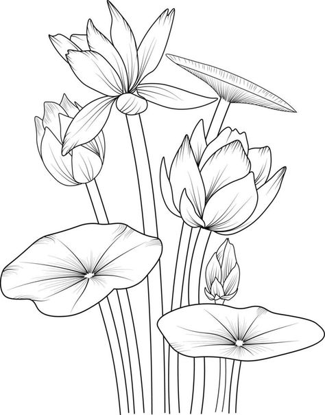 Flower Drawing For Kids, Waterlily Flower, Lotus Flower Drawing, Lotus Drawing, Outline Pictures, Printable Flower Coloring Pages, Lotus Painting, Tree Drawings Pencil, Natural Spring