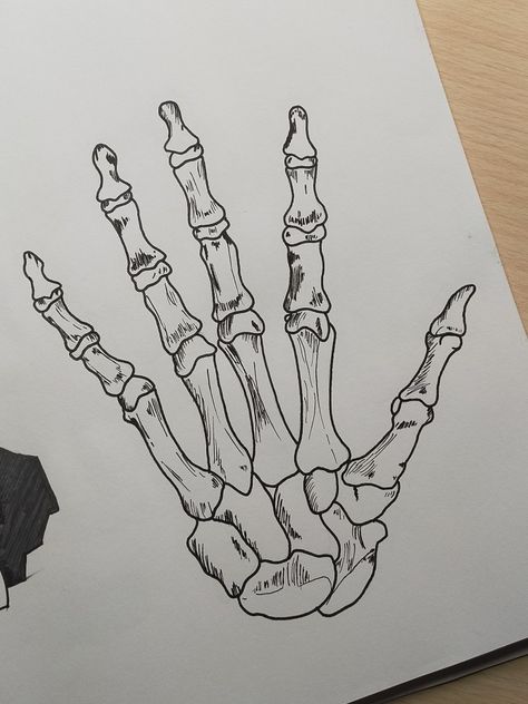 Skelly Hand Drawing, Hand Skeleton Drawing Sketch, Skeleton Hand Sketch Simple, Hands Bones Drawing, Skeleton Hand Drawings, Hand And Skeleton Hand, Easy Skeleton Drawing, Bone Hand Drawing, Skeleton Hand Drawing