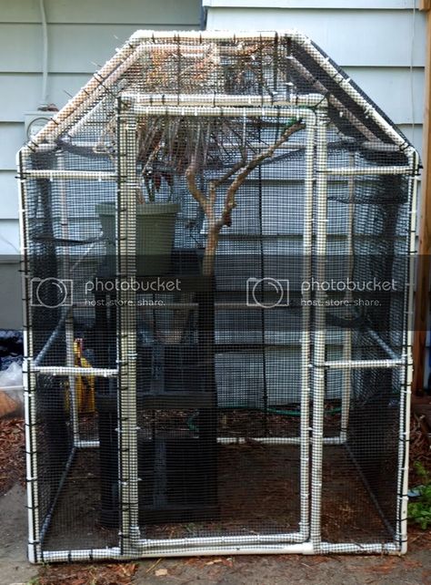 Cat Enclosure Outdoor, Cat Fencing, Catio Enclosure, Chameleon Terrarium, Lizard Cage, Iguana Cage, Cat House Outdoor, Chameleon Cage, Dragon Lair