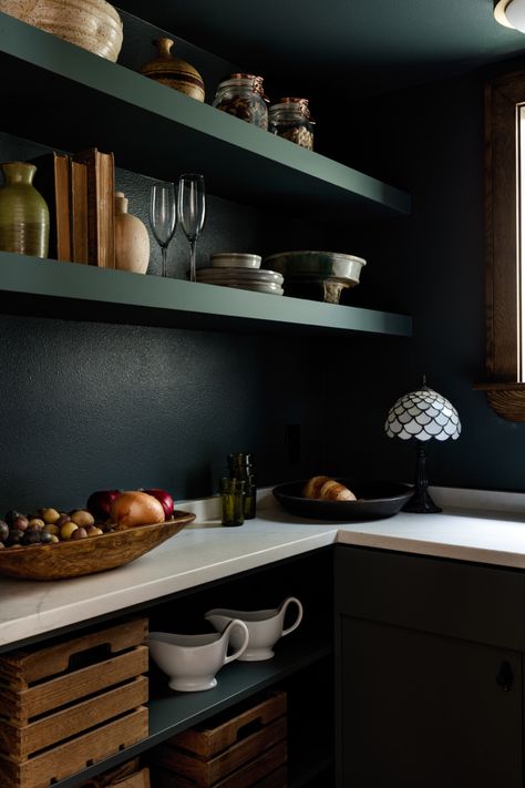 Small kitchen pantry in a dark green matte finish. Super cute Dark Green Pantry, Scandinavian Outdoor Living, Green Pantry, Brown Kitchen Ideas, Light Green Kitchen, Scandinavian Outdoor, Modern Cabinetry, Pantry Interior, Painted Pantry