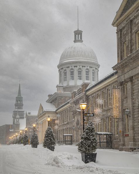 Mount Royal Montreal, Montreal Winter Aesthetic, Old Montreal Aesthetic, Montreal Aesthetic, Montreal Photography, Night Architecture, Visit Montreal, Snowy Morning, Montreal Travel