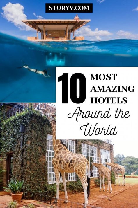 10 Of The World’s Most Amazing Hotels To Visit in Your Lifetime Unusual Hotels, Traveling Ideas, Amazing Hotels, Hotels Around The World, Travel Plan, Unique Hotels, Unique Boutique, Beautiful Hotels, Top Hotels