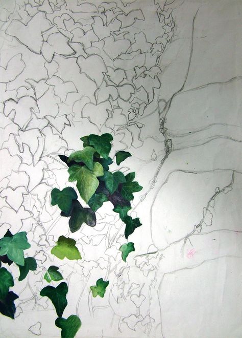 Ivy Painted On Wall, Ivy Plant Drawing, Ivy Painting Acrylic, How To Draw Ivy, Vine Painting Acrylic, Ivy Painting, Vines Painting, Greenery Background, Contemporary Botanical Art