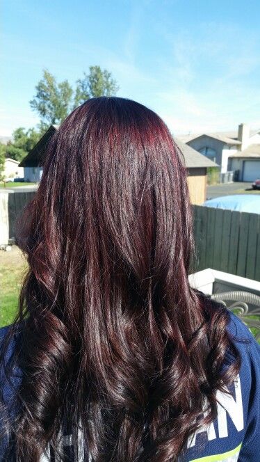 Fall hair! We called the color black cherry with big red highlighted section in the front. Black Hair With Red Tint In Sun, Ion Black Cherry, Black Hair That Looks Red In The Sun, Black Reddish Hair, Cherry Coke Highlights On Dark Hair, Red Toned Black Hair, Dark Red Almost Black Hair, Black With Red Undertones, Black Hair Red Undertones