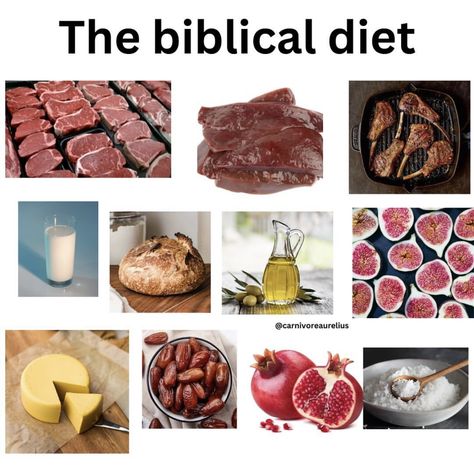 Biblical Food, Christian Diet, Biblical Diet, Bear Diet, Ancestral Nutrition, Simple Diet, Meat Diet, Holistic Diet, Animal Based