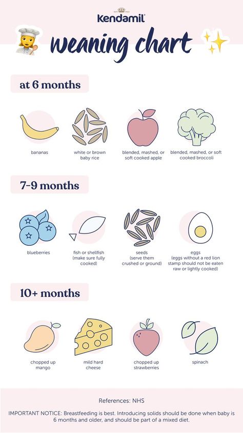 Is your baby looking at solid food a little... wistfully? Reaching for your lunch with little hands? Maybe they’re mouthing their toys? Great news: your baby might be ready to wean! Yummy times lie ahead. We've created a weaning chart along with a blog guide to answer your weaning questions — from when to start, different feeding techniques (baby-led weaning!). Save this useful weaning chart to your phone and check out our detailed blog on all things weaning! Baby Weaning Chart, Baby Eating Chart, Baby Weaning Recipes 6 Months, Weaning Guide Uk, How Much To Feed Baby, Baby Led Weaning 7 Months, 3 Month Feeding Amount, Weaning Chart, Weaning Plan