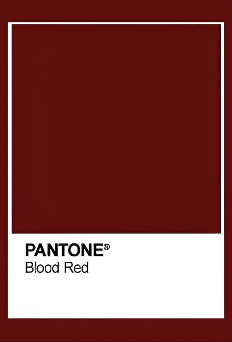 Maroon Color Palette, Pantone Red, Blood Red Color, Color Tips, Pantone Colour Palettes, Cherry Red Color, Bordeaux Color, Wine Red Color, Stunning Hairstyles