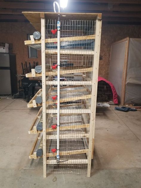 Quail Cage | Chicken cages, Quail coop, Raising backyard chickens Poultry Farm Buildings, Quail Pen, Poultry Farm Design, Quail Cage, Quail Coop, Chicken Shed, Raising Quail, Chicken Barn, Broiler Chicken