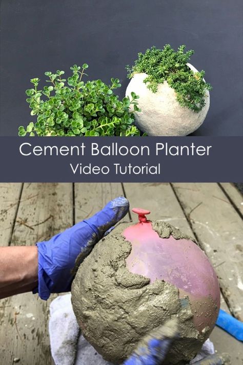 Diy Cement Planters, Diy Cement, Diy Concrete Planters, نباتات منزلية, Cement Diy, Cement Planters, Concrete Crafts, Garden Types, Concrete Garden