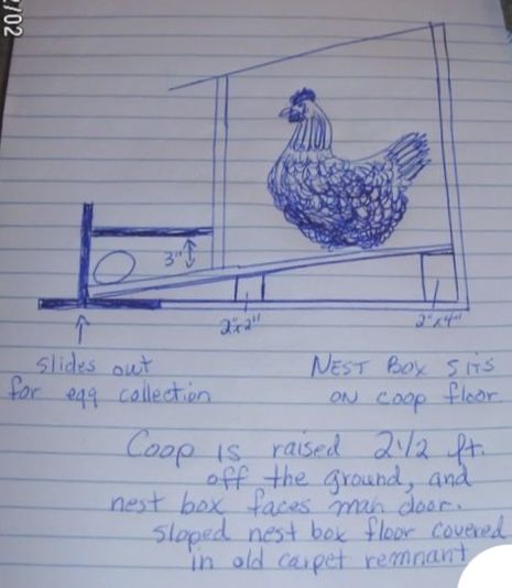 Chicken Feeder Diy, Backyard Coop, Walk In Chicken Coop, Easy Chicken Coop, Chicken Shed, Chicken Coop Garden, Chicken Barn, Chicken Tractors, Backyard Chicken Coop Plans