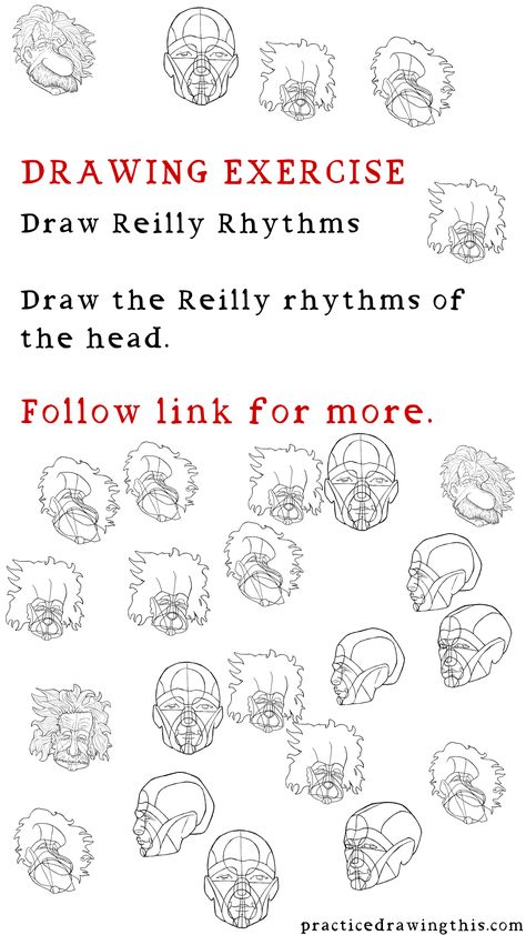 Drawing Exercises - Draw the Reilly rhythms of the head. Head Practice Drawing, Reilly Method Step By Step, Reilly Rhythms, Upside Down Drawing, Reilly Method, Head Practice, Big Draw, Practice Drawing, Drawing Exercises