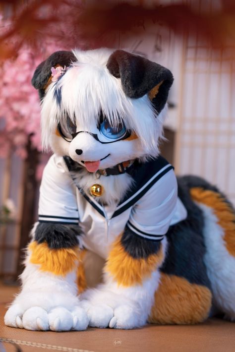 Wolf Fursuit, Fursuit Head, Dog Suit, Super Cute Animals, Anime Dolls, Animal Sketches, Cute Characters, Landscape Architecture, Cute Animals